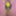 Joanie - Yellow Pencil Dress II #8