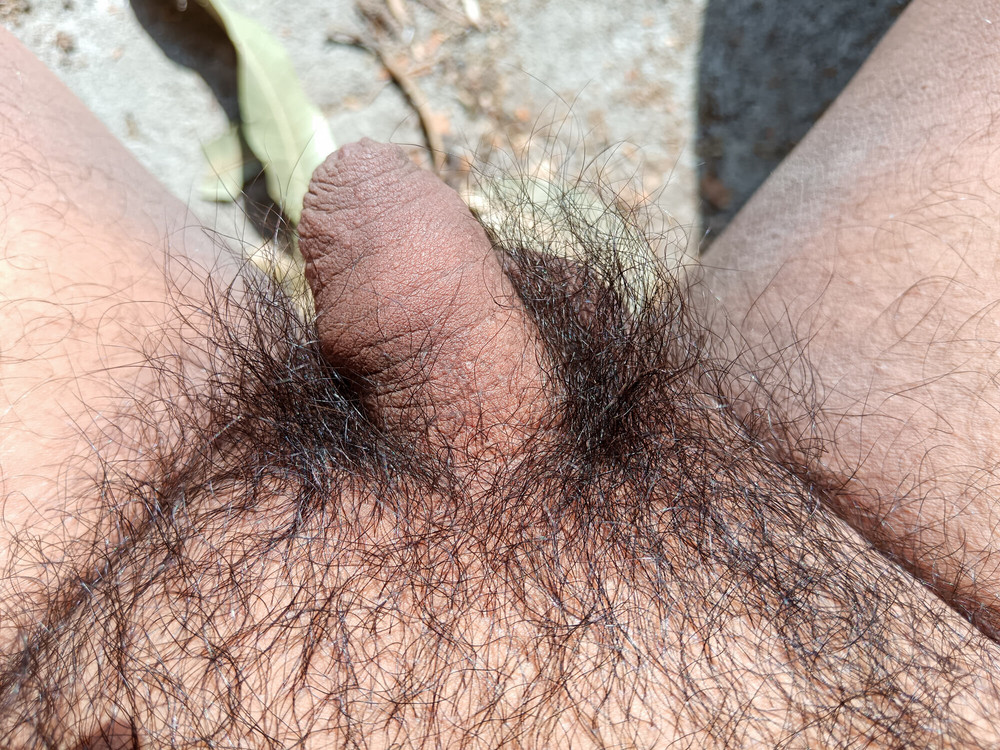 My nice flaccid penis after 9 months without shaving #2