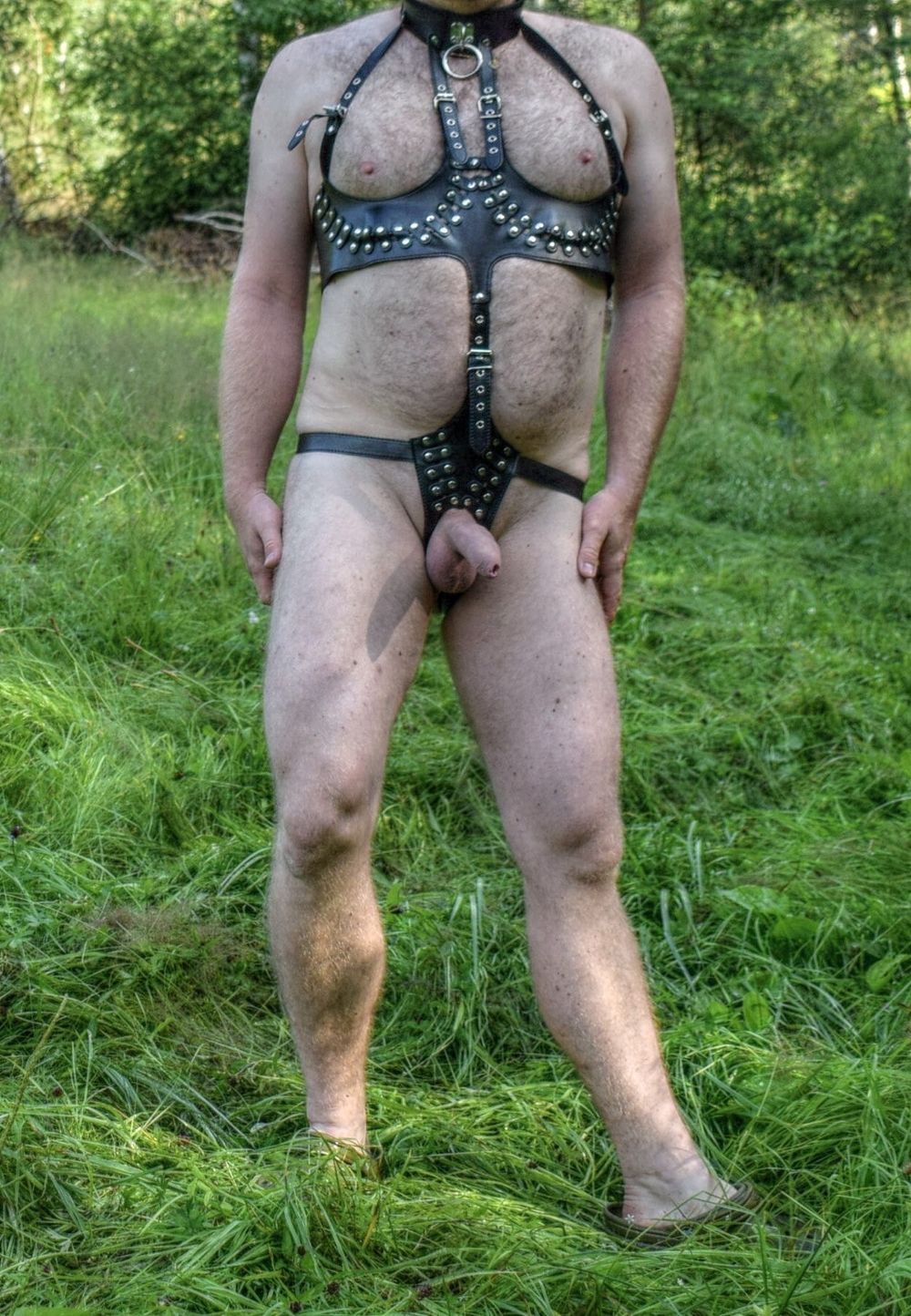 Harness, cock and outdoor #3