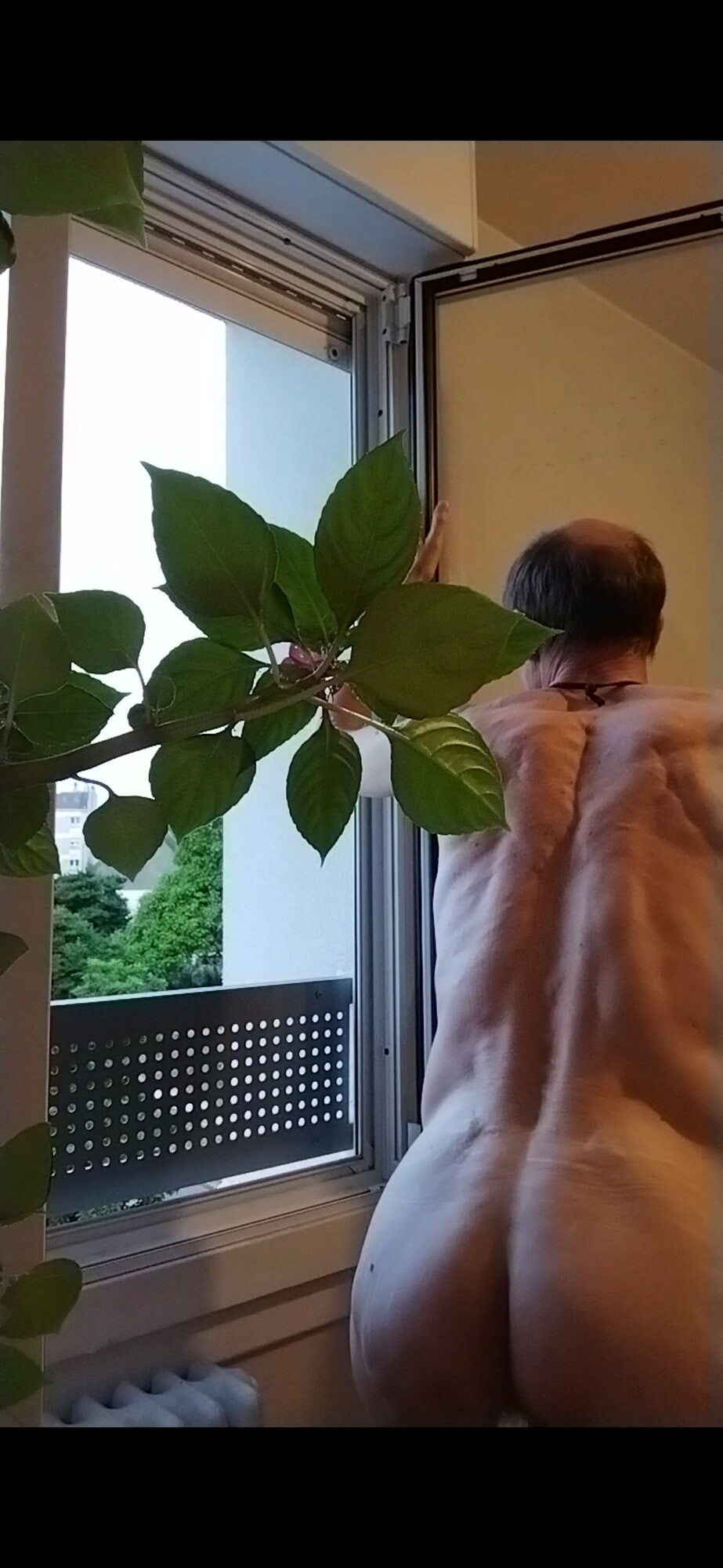 My little ass is just waiting for you !! #4