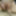 Mature MILF Pussy Creampie #23