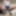 Ücretsiz Sensi Millia Fotoğrafları