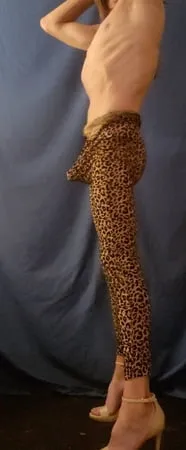 leopard print bodysuit         