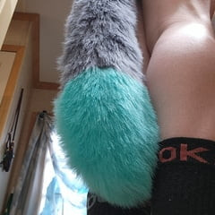 我和我的脆弱的尾巴