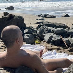 Public Nude Beach Erection