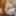 Dec 24 WEEKLY Video Update to DoggVision VIP Members Area #2