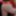 WildOneXoXo Free Photos