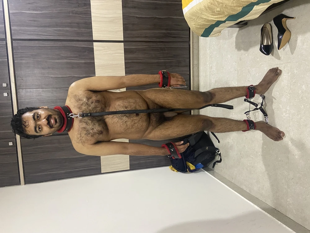 Male slave dog for women.  #3