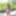 Onlyfans: MINOKIIKO