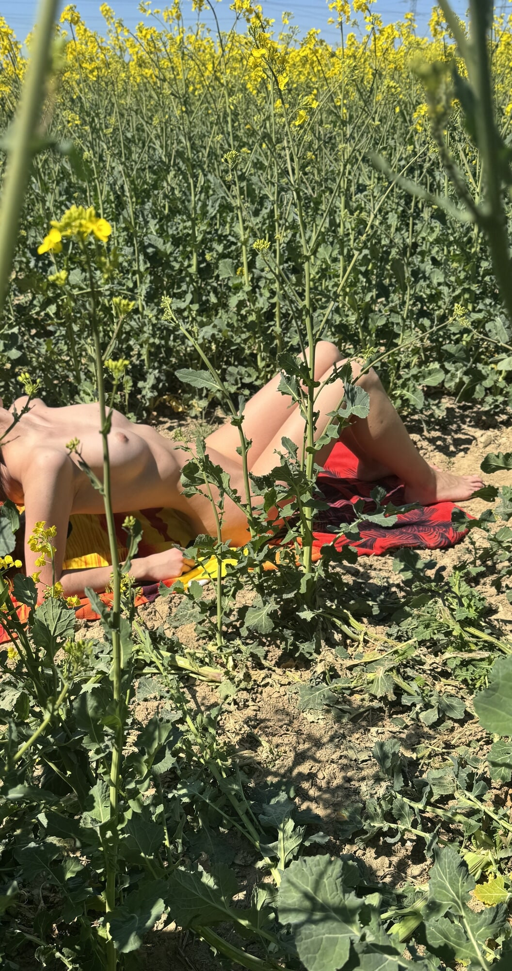 Wife and nature #11