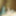 dusty lusty archive 5 (dick edition) #50
