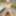 Pixwhores Experimental: Blondes gagged, tied & trussed #6
