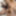 Man with handsome hairy huge dick alone in room #15