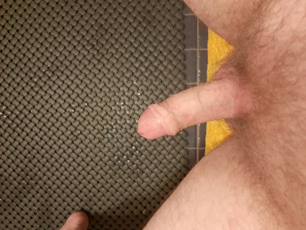 My dick pics