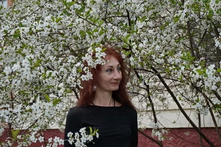 in white cherry flowers         