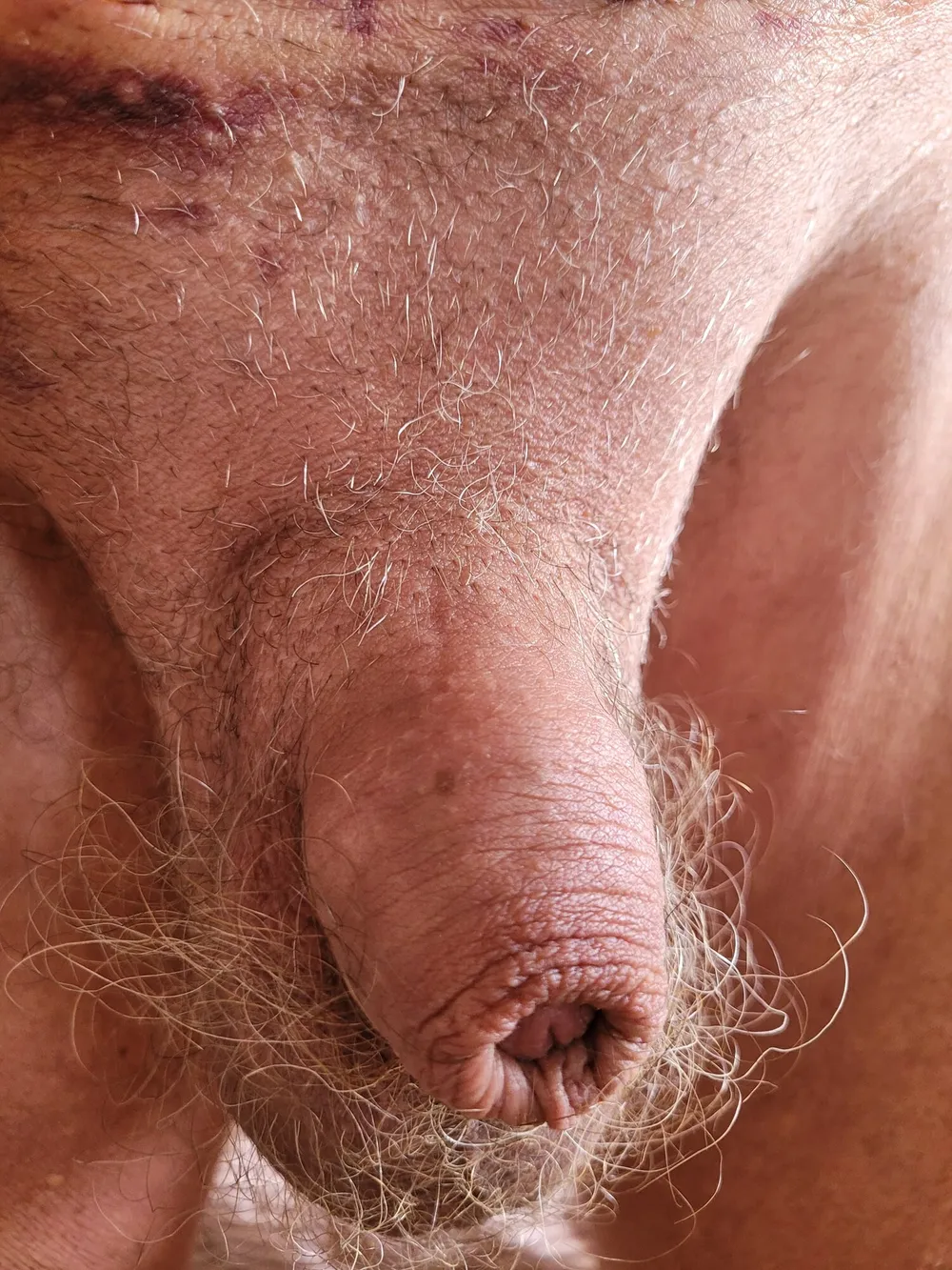 Soft, medium, hard cock #25