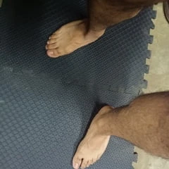 Pies