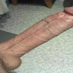 ready dick