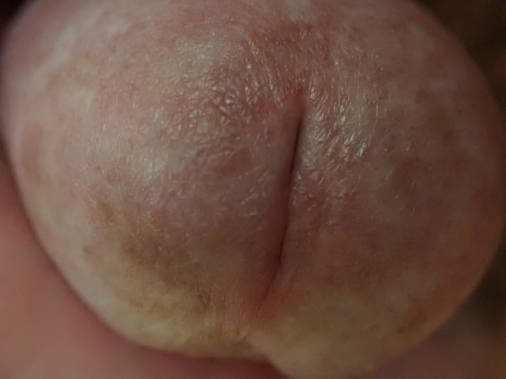 close up penis #12