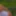 My Boyfriend Will Be Back In An Hour (Only-Fans Teaser) #6