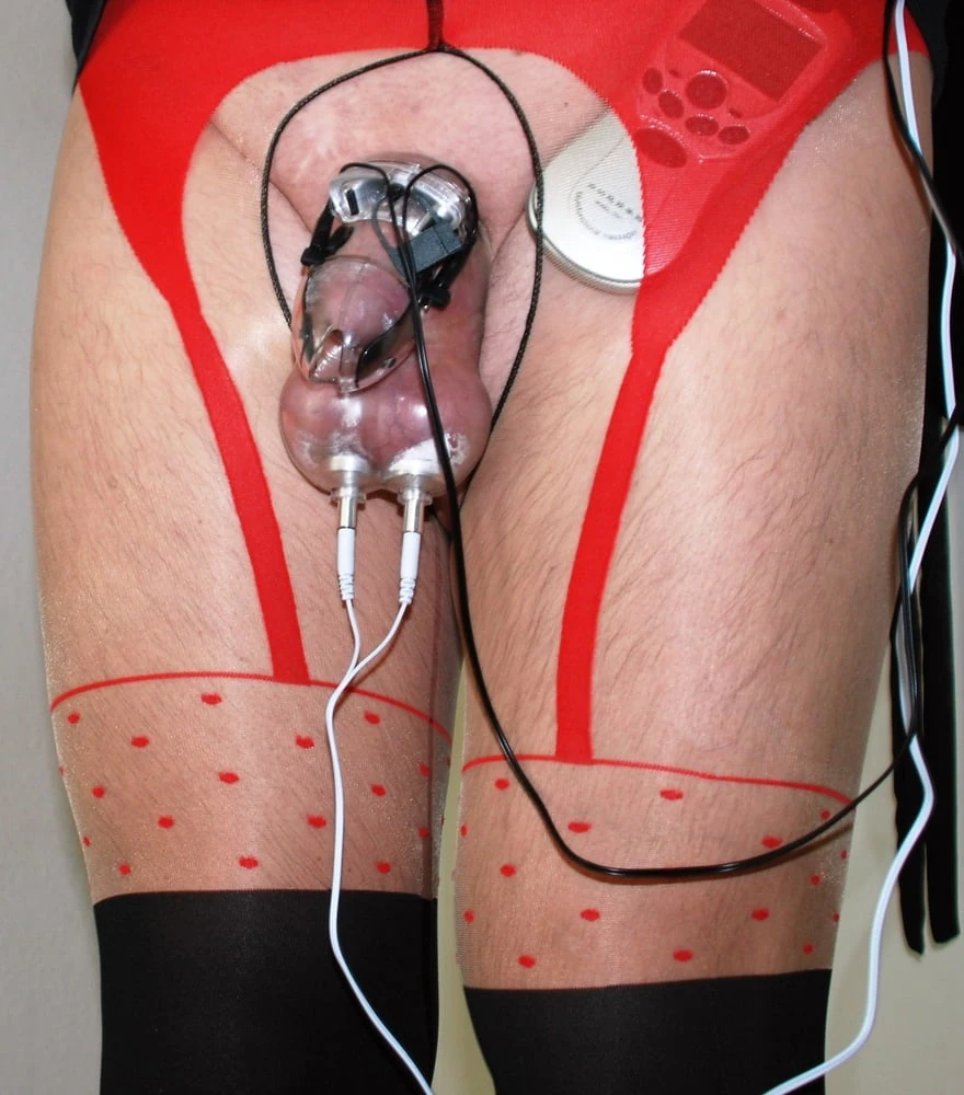 electrified cock cage #24