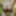 Random Pics From Getting Naked in the Woods #6