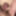 Arousing my freaky shenis and fingering my gape #20