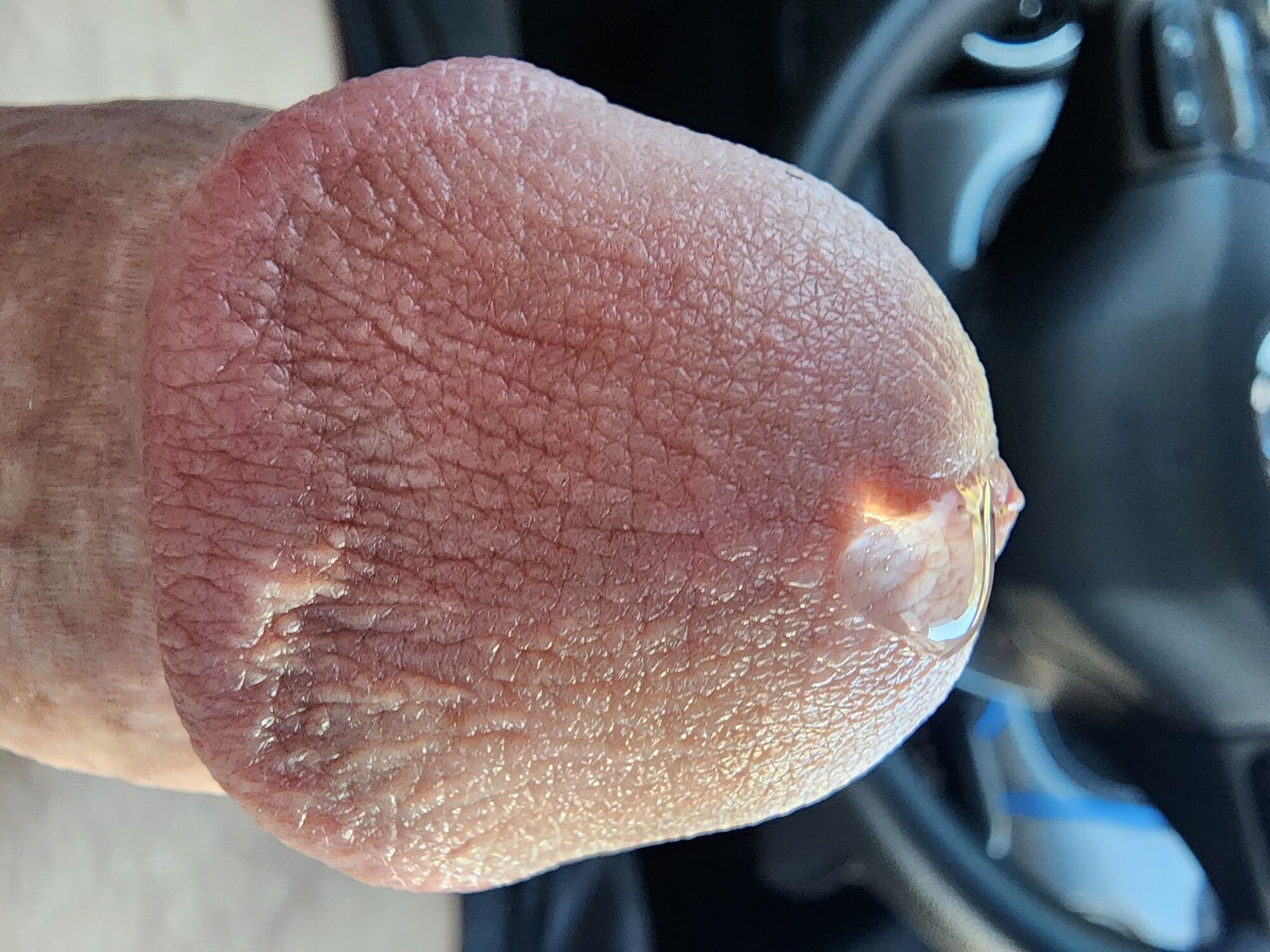 Cock  #21