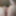 Pussy pics