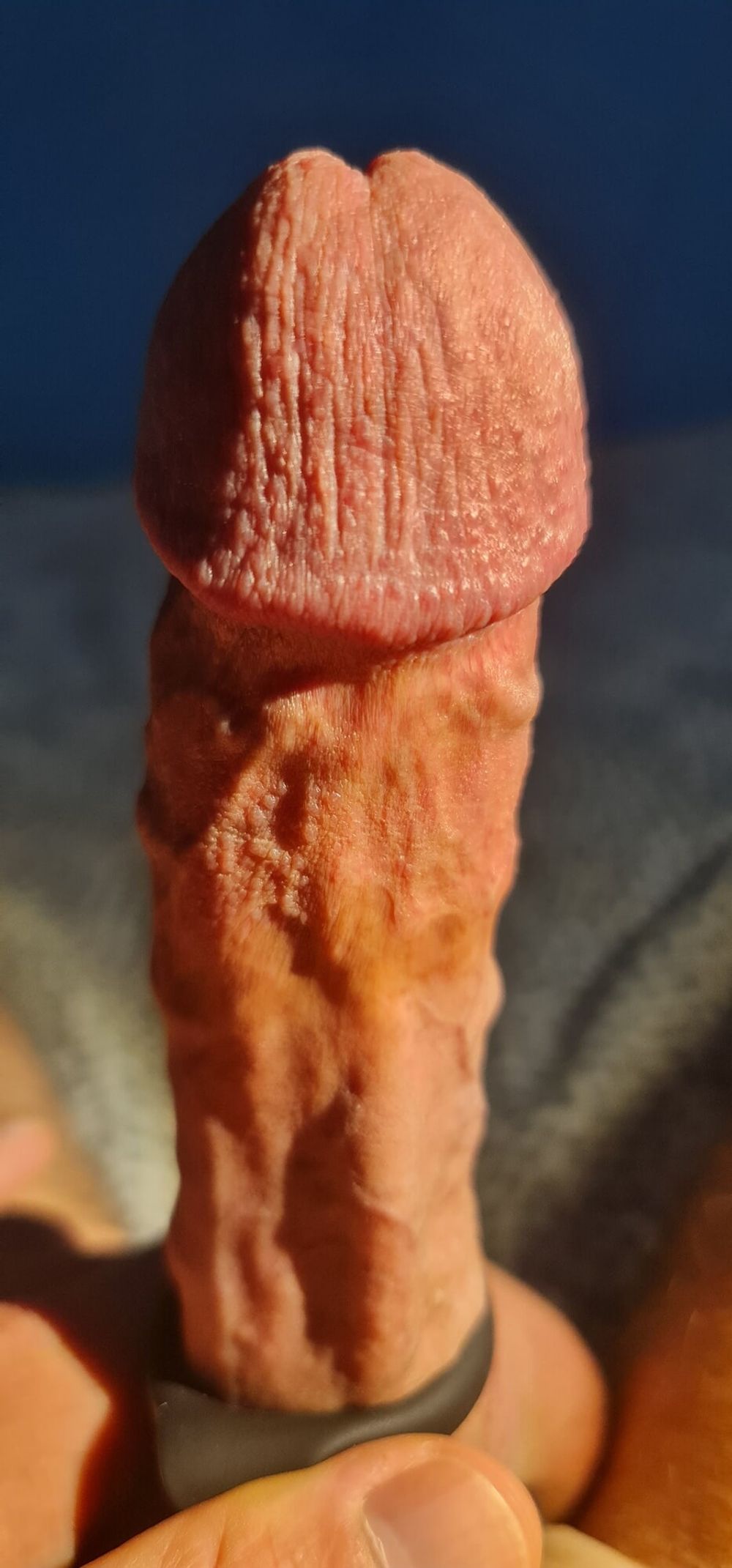 My veiny hard cock in close up #3