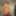 Daddy nudes