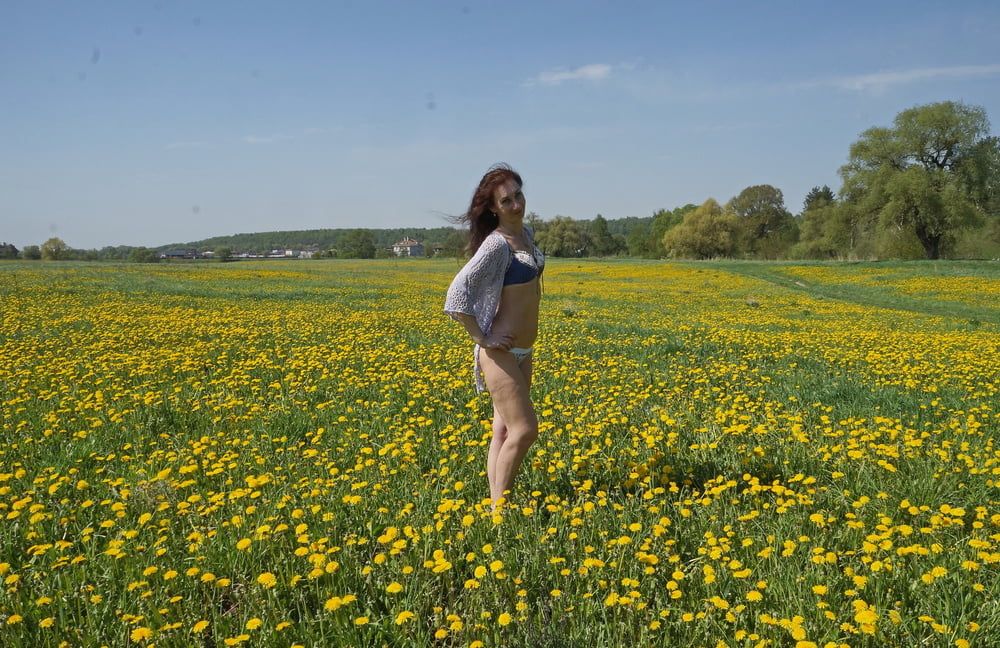 Yellow Meadow #9