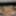 Dec 3 WEEKLY Video Update to DoggVision VIP Members Area  #25