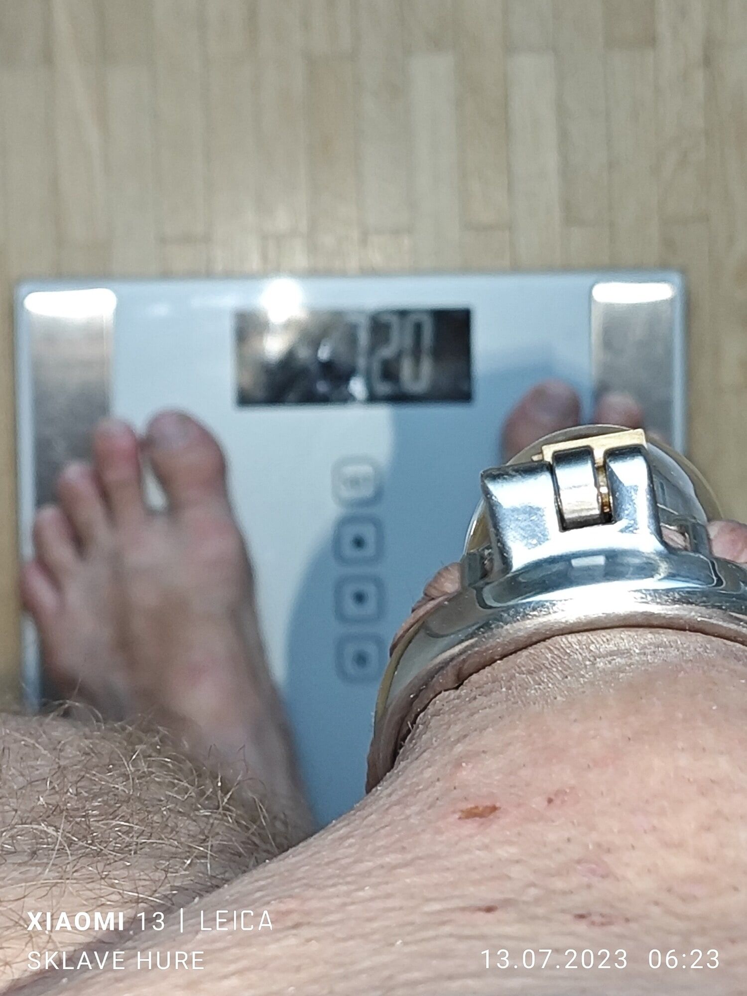 Weighing, Cagecheck, Plug on July 13th, 2023 #10