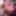 BBW Wife Miss Lizz Outdoor Blowjob, Meeting in the Park