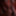 RED MY PORN SCREEN