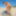 Sexy porn girl Petty on a nudist beach #2
