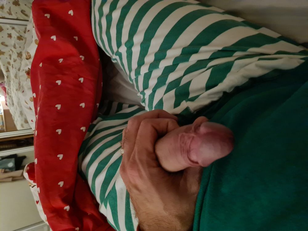 Christmas elf cock