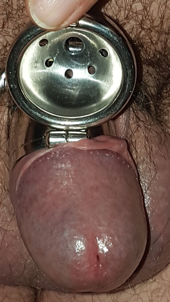 Chastity cage #20