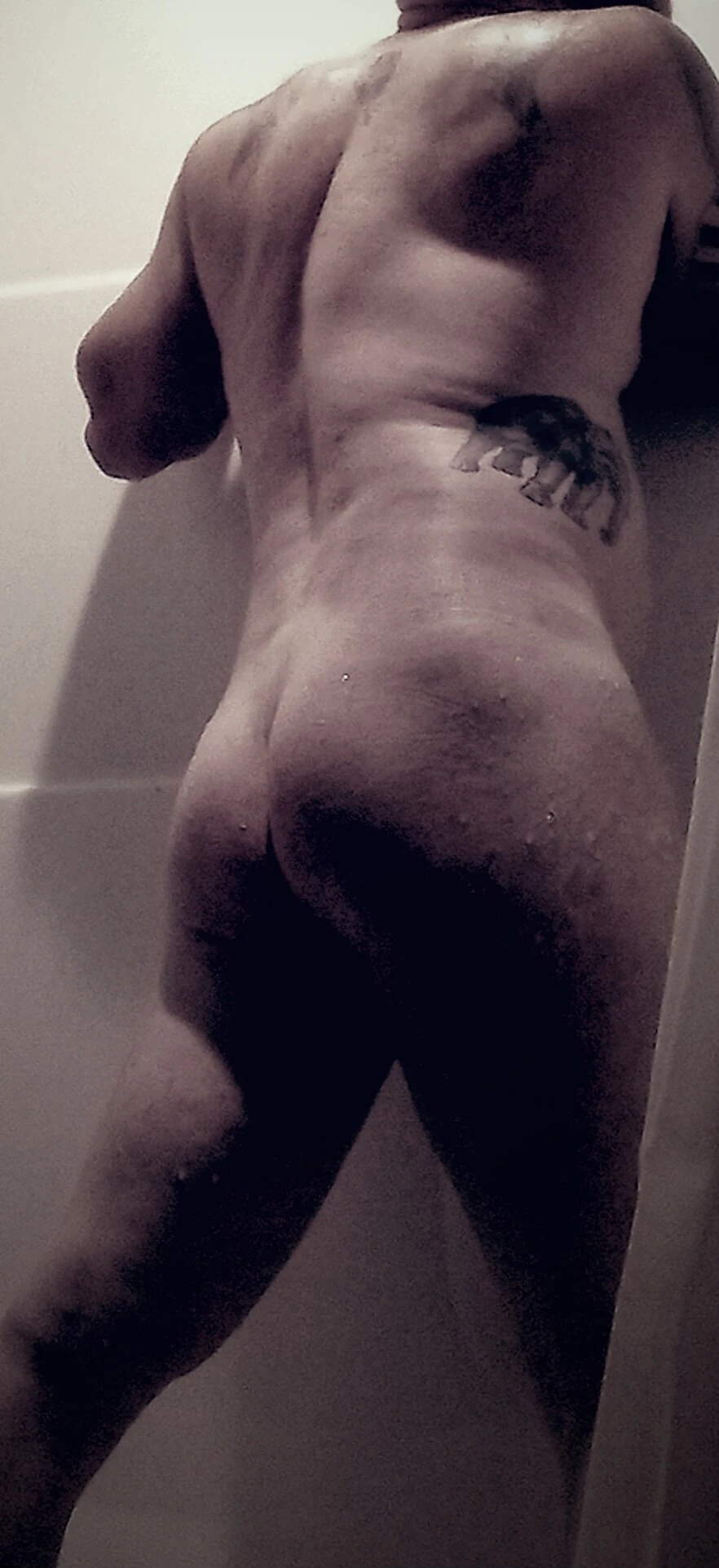 Ass