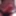 dick pics #24