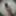 Ladyboy lesbian short hair 2