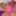SYDNEYSCREAMS: Whats A Daisy Chain Between Friends