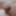 弱虫がおっぱいとデブを見せつける