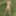 On the river bank, on the grass, in a public place without p #4
