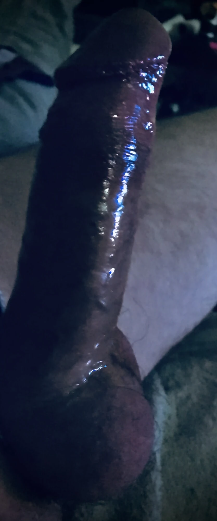 German Cock #4