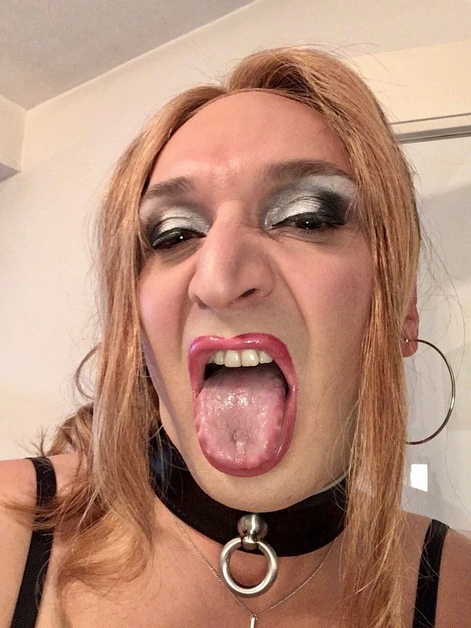 New Gallery #4