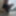 ExhiB ta Bitch_au Balcon 19Mars2024 PariSChienneTrv.Prod Van #7