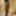 Black honey gets recorded as she showers #36