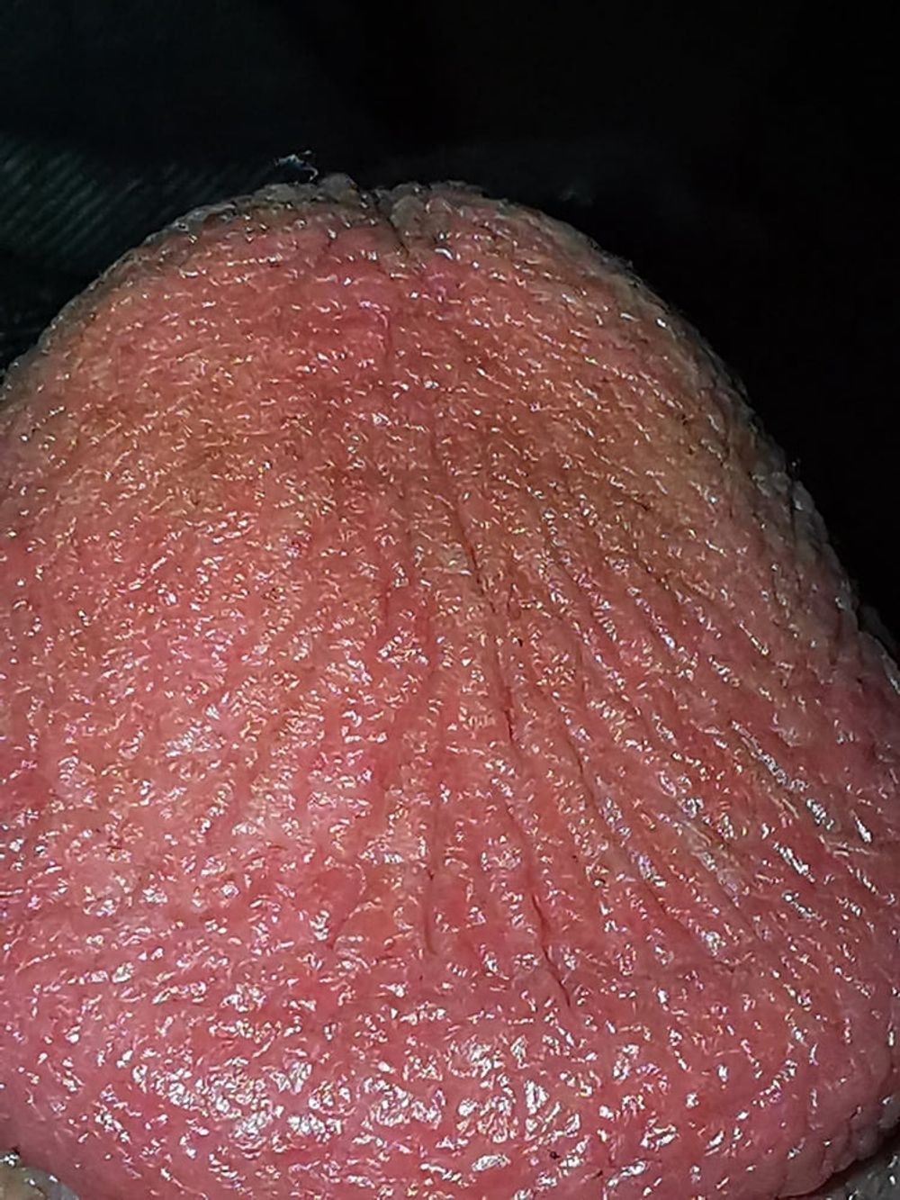 Super macro cock  #3